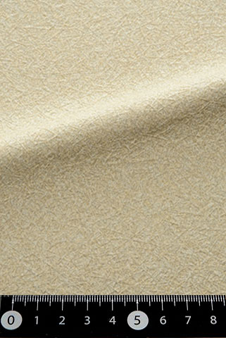 SH-01