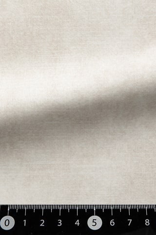 B42480600