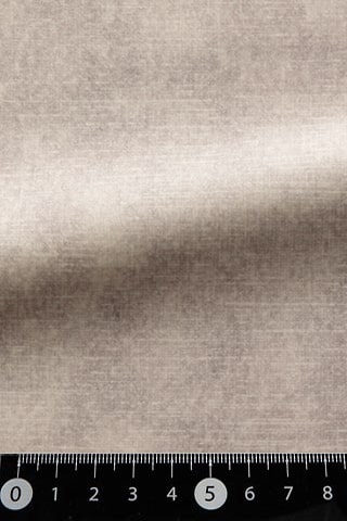 B42480555