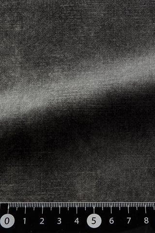 B42480477