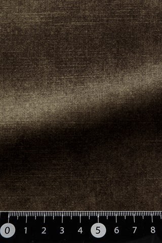 B42480816
