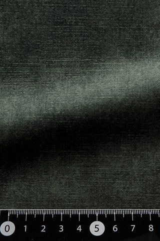 B42485407