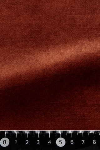 B42481414