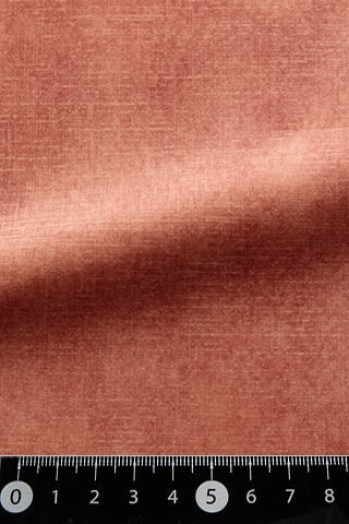 B42481590