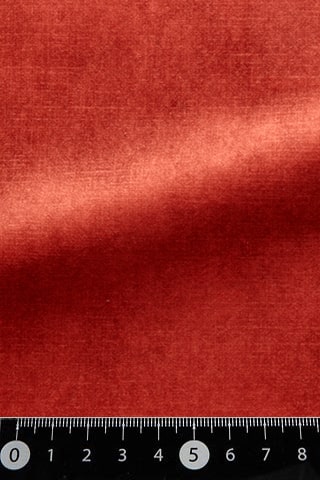 B42481630