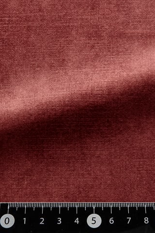 B42481836