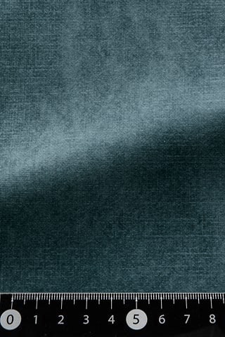 B42482204