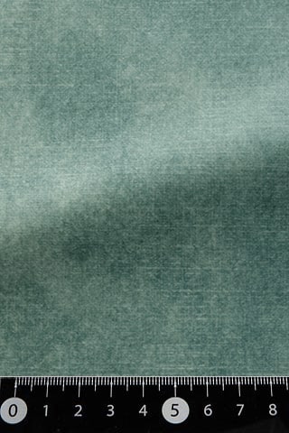 B42482442