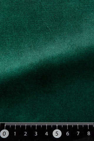 B42482575