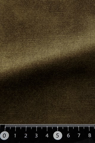 B42482610