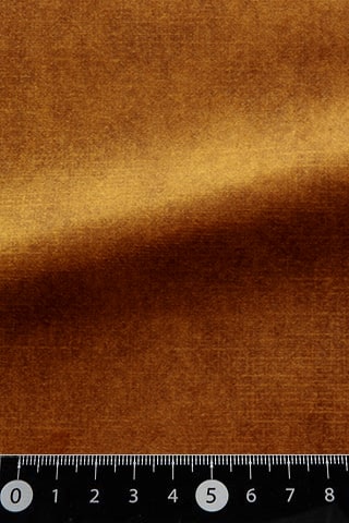 B42482913