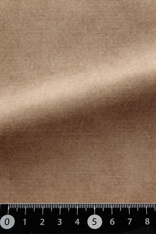 B42483427