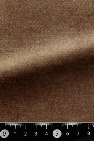 B42483531