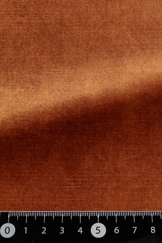 B42484051