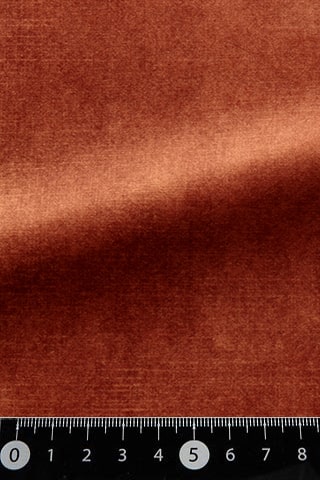 B42484155