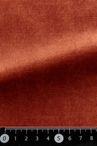 B42484259