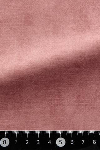 B42484571