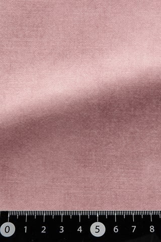 B42484675