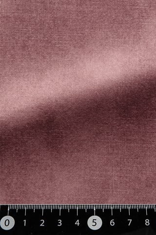 B42484779