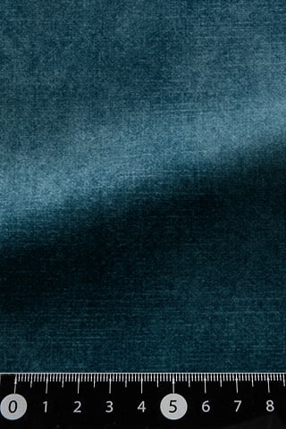 B42485091
