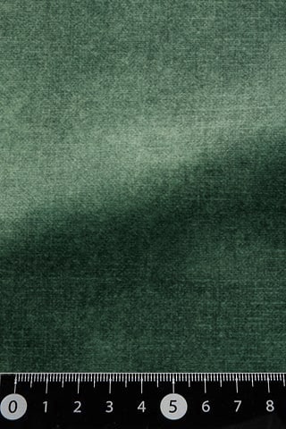 B42485303